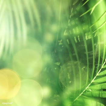 Fresh fam palm patterned background | Free  photo - 2331802