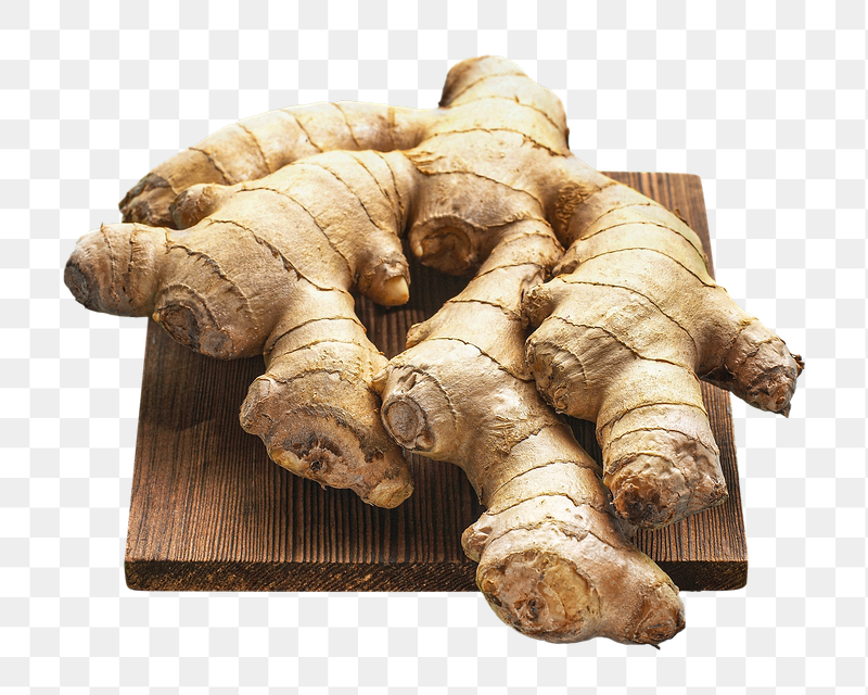 Fresh ginger png sticker, transparent | Free PNG - rawpixel