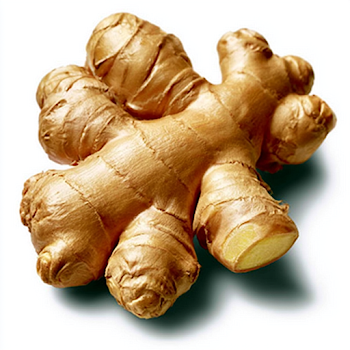 Fresh Ginger Root on White Background