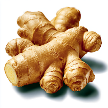 Fresh Ginger Root on White Background