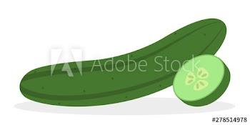 Fresh green cucumber for salad
