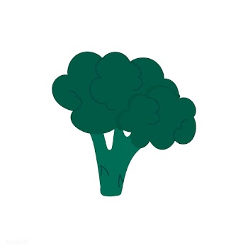 Fresh green healthy broccoli vector | Free stock vector - 537939