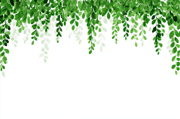 Fresh Greenery Botanical Border Design