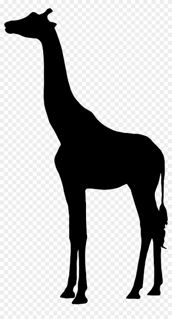 Fresh Idea Giraffe Silhouette Clipart 3 Big Image Png - Silhouette Of A Giraffe