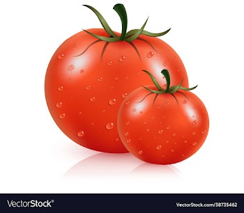 fresh juicy red tomato with water droplets