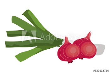 fresh leek with purple onions vegetables design