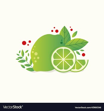 fresh limes with leaves and mint realistic citrus