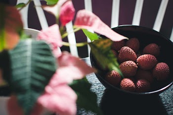 Fresh litchi 