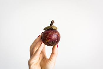 Fresh mangostan 
