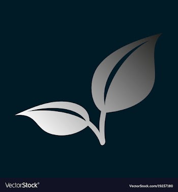 Fresh mint leaf flat menthol healthy aroma herbal vector image