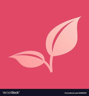 Fresh mint leaf flat menthol healthy aroma herbal vector image