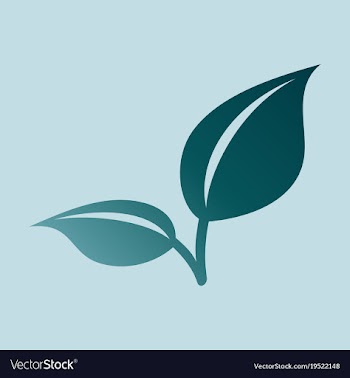 Fresh mint leaf flat menthol healthy aroma herbal vector image
