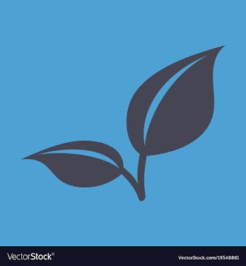 Fresh mint leaf flat menthol healthy aroma herbal vector image