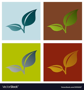 Fresh mint leaf flat menthol healthy aroma herbal vector image