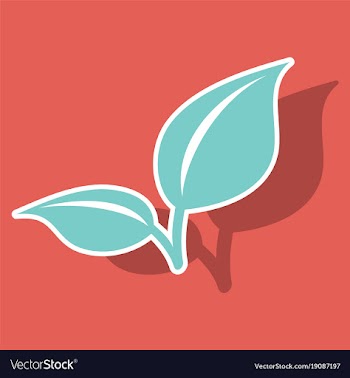 Fresh mint leaf sticker menthol healthy aroma vector image