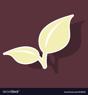 Fresh mint leaf sticker menthol healthy aroma vector image