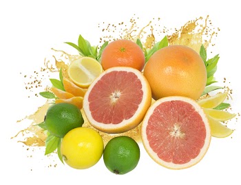 fresh nice citrus fruits with leaves and juice drops isolated on white