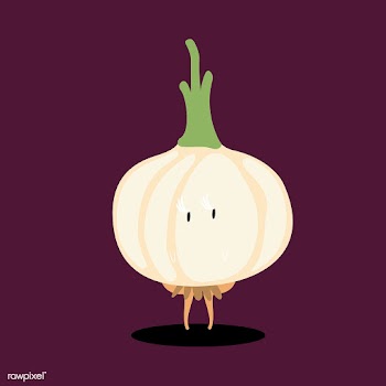 Fresh onion cartoon character vector | Free stock vector - 538768