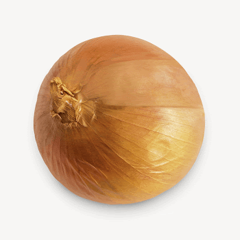 Fresh onion, isolated vegetable image | Free Photo - rawpixel