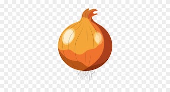 Fresh Onion Natural Vegetable Nutrition - Yellow Onion