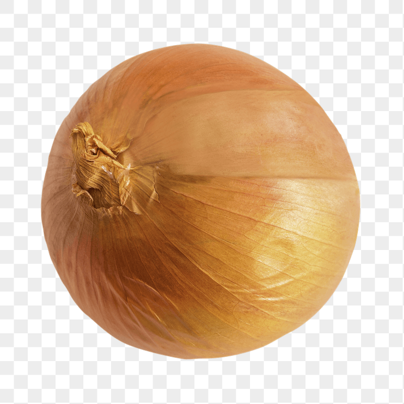 Fresh onion png sticker, transparent | Free PNG - rawpixel