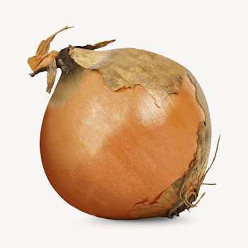 Fresh onion, vegetable design  | Free Photo - rawpixel