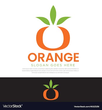 fresh orange fruit orange slice sweet orange