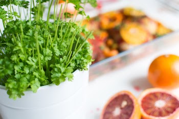 Fresh parsley and oranges 