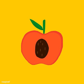 Fresh peach healthy ingredient vector | Free stock vector - 516560