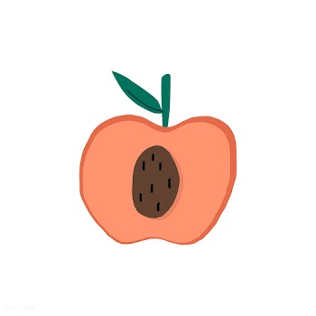 Fresh peach healthy ingredient vector | Free stock vector - 516597