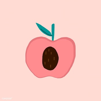 Fresh peach healthy ingredient vector | Free stock vector - 516616
