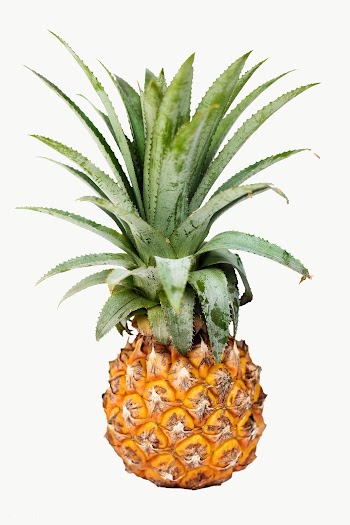 Fresh pineapple design element | Free  transparent png - 2337364