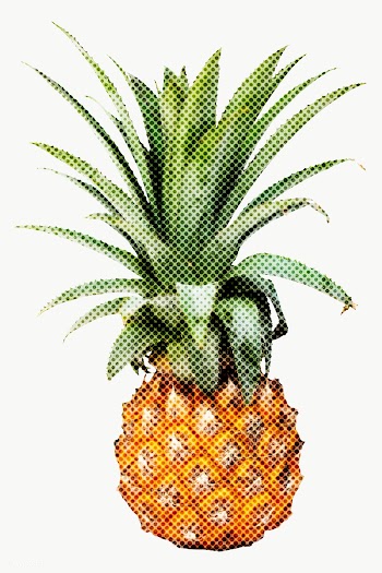 Fresh pineapple illustration halftone style sticker design element | Free  transparent png - 2337853
