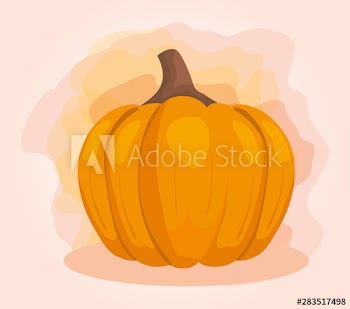 fresh pumpkin healthy organic vegetables