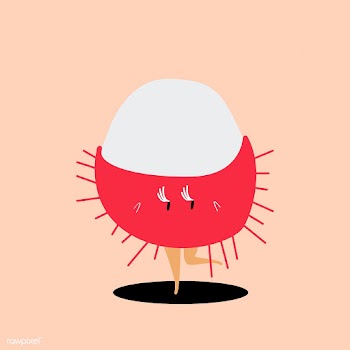 Fresh rambutan cartoon character vector | Free stock vector - 538726