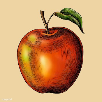 Fresh red apple | Free stock vector - 1016453