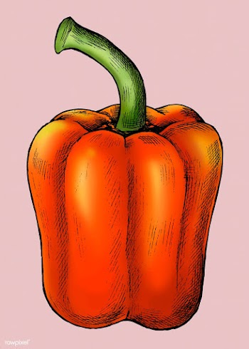 Fresh red pepper | Free stock vector - 1016427