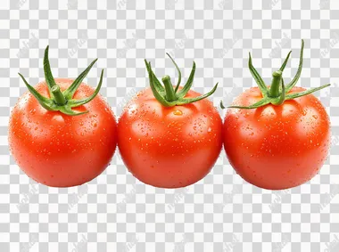 Fresh Ripe Tomatoes: A Hyper-Realistic Centerpiece Display Fresh Ripe Tomatoes: A Hyper-Realistic Centerpiece Display