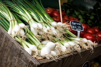 Fresh scallion at a market 
