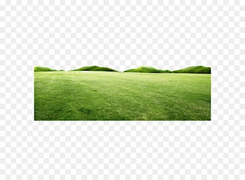 Fresh spring green grass hill 