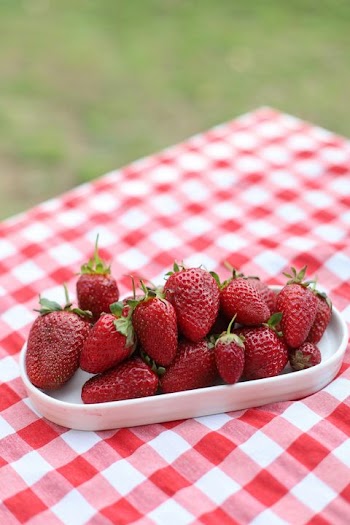 Fresh Strawberries on a Red and White Checkered Tablecloth