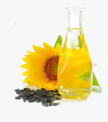Fresh Sunflower Oil, Green, Safety, Food PNG Image and Clipart for ...