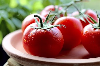 Fresh Tomatoes on a Plate. | Free Photo - rawpixel