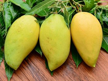 Fresh Tropical Mangoes on Wooden Surface