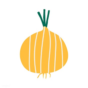 Fresh unpeeled yellow onion vector | Free stock vector - 537977