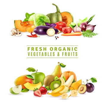 Fresh vegetables and fruits illustration Free Vector