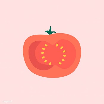 Freshly cut red tomato vector | Free stock vector - 537954