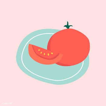 Freshly cut red tomato vector | Free stock vector - 537978
