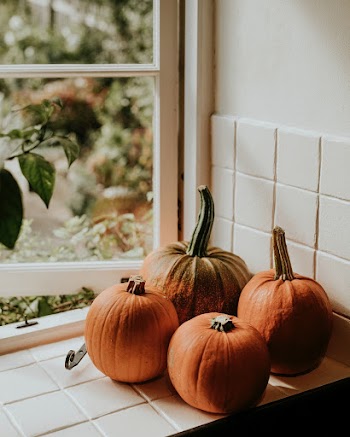 Freshly harvested pumpkins background food photography