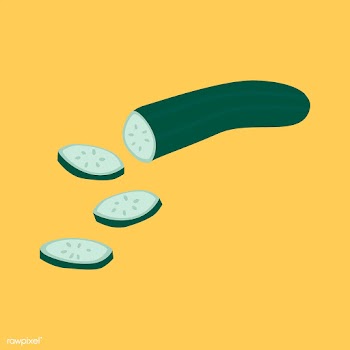 Freshly sliced organic cucumber vector | Free stock vector - 537964